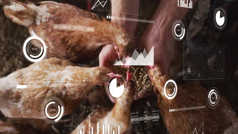alimentación de pollos, análisis de datos y gráficos de animación sobre la escena de la granja