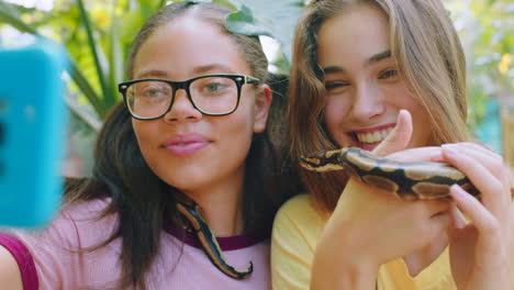 Selfie,-Serpiente-Y-Amigos-Con-Niñas