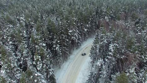 tracking aerial view of a car driving and handbrake drifting in snowy fir tree forest road