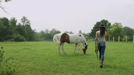 Una-Joven-Vaquera-Adulta-Se-Acerca-A-Un-Caballo-Pinto-Tranquilo-En-Un-Campo,-Alimenta-Y-Acaricia-Al-Caballo-1