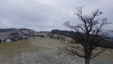 fly over a lone tree in the middle of a hill during a light starting snowfall