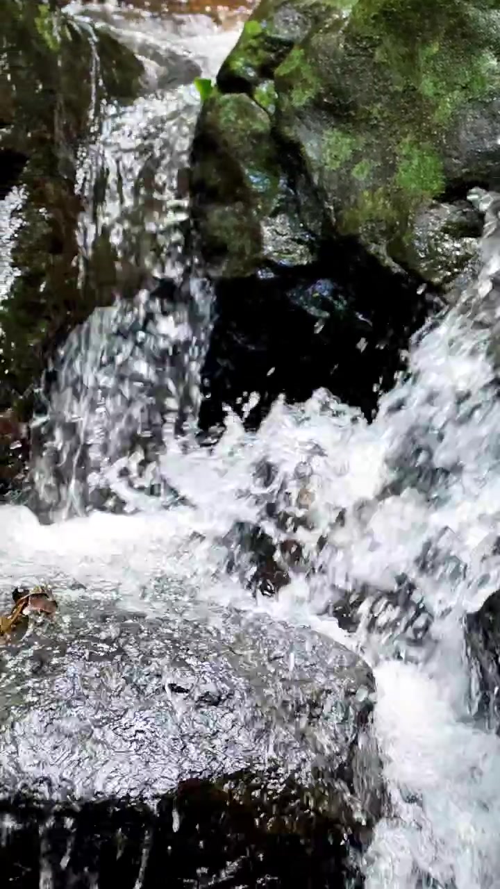 Acqua limpida di ruscello di montagna scorre rapidamente su rocce coperte di muschio in un ambiente forestale ombreggiato. Luce naturale, telecamera stabile, prospettiva ravvicinata, atmosfera tranquilla.