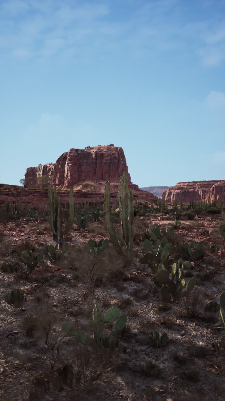 A desert landscape with cacti and red rock mountains in the background