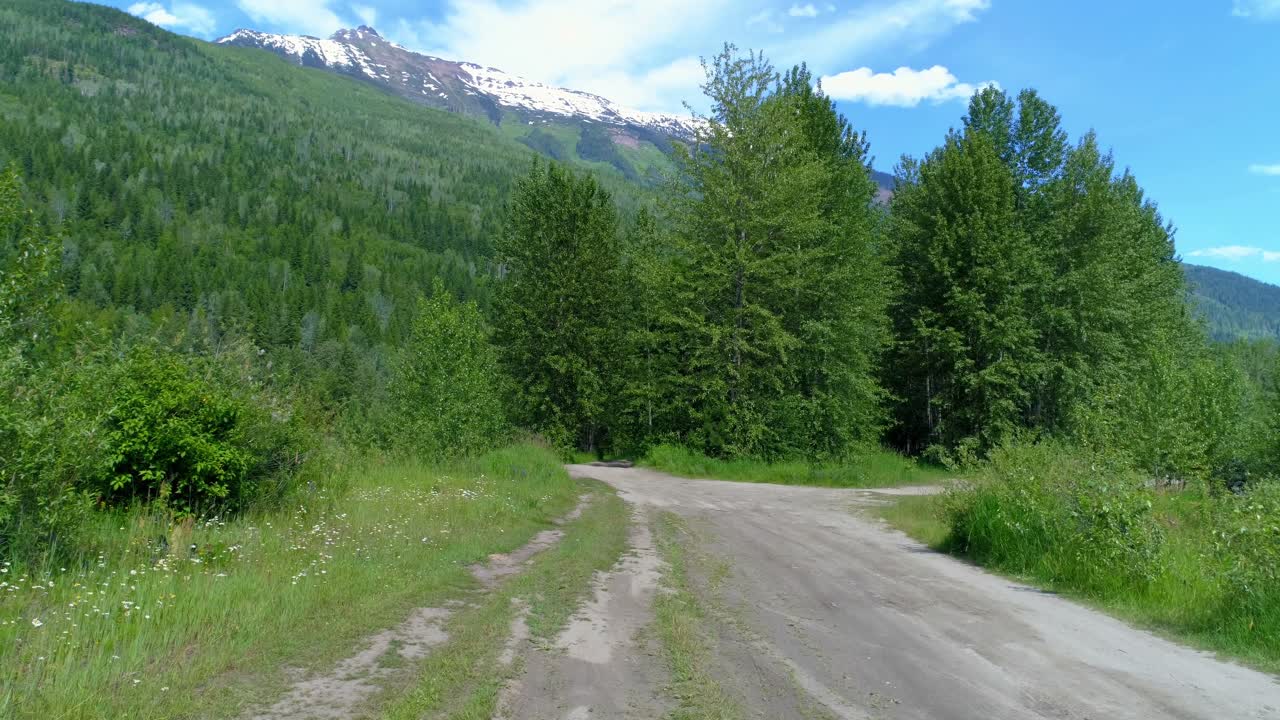 Female jogger running on the forest path 4k