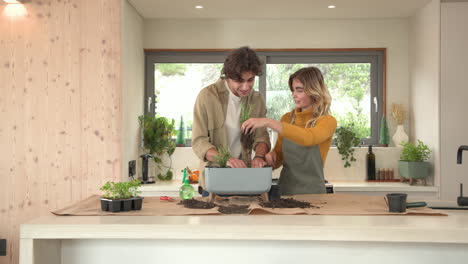 couple planting herbs together in kitchen, enjoying cozy holiday atmosphere