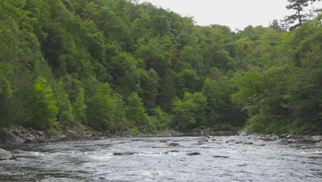 the batchawana river flows between rocky banks in the vast and remote forests of ontario