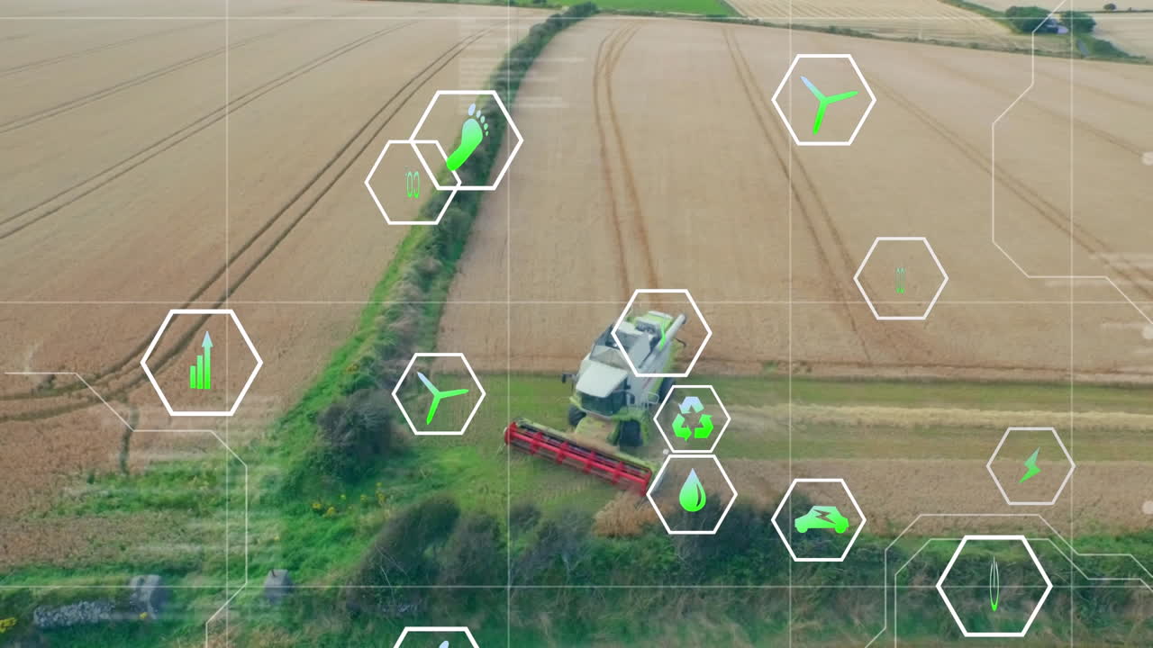 디지털 아이콘의 애니메이션과 필드 이상의 데이터 처리