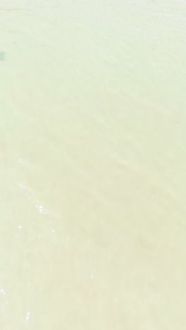 aerial view tilt of the clear sea water in ninh hải district.