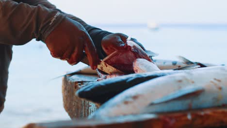 man gutting fish with knife at outdoor cleaning station, slow motion