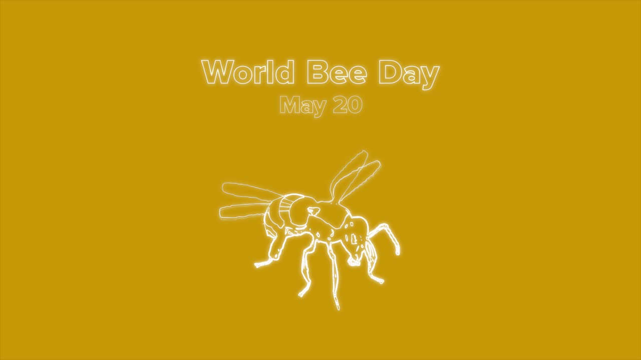 abeja zumbando en el aire con el día de la abeja 20 de mayo