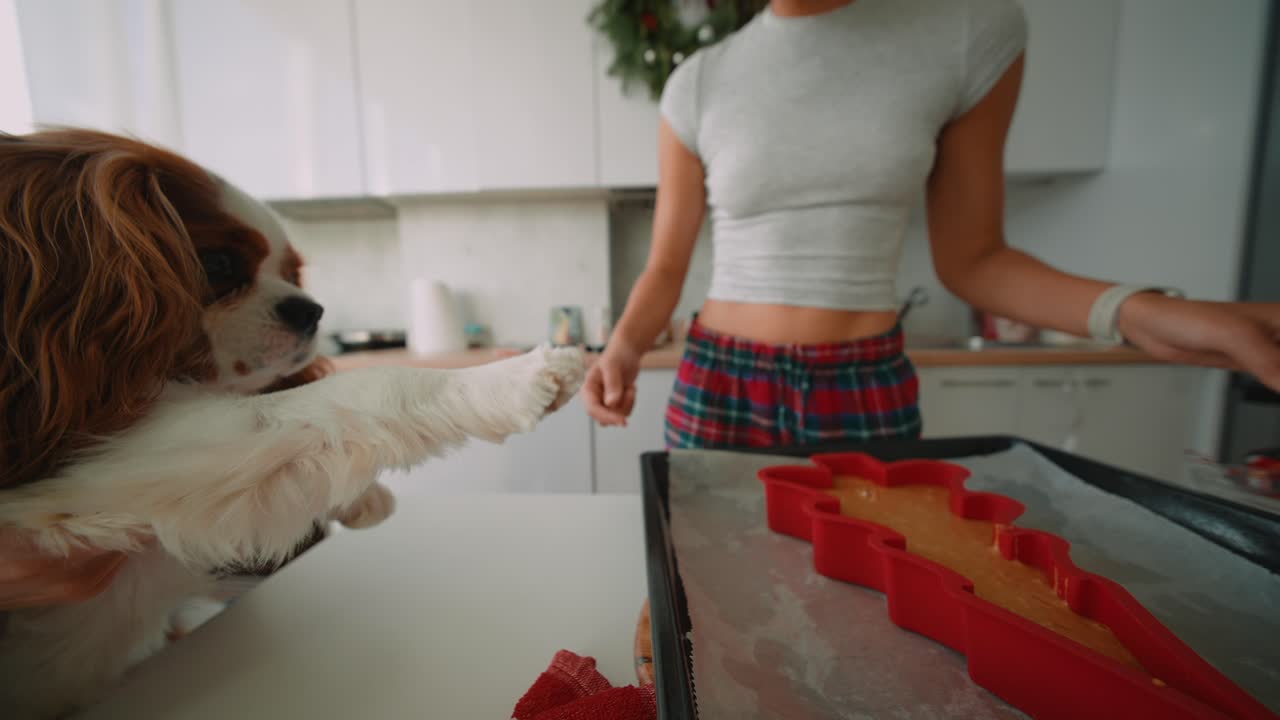 개와 함께 베이킹