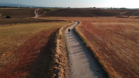 Aerial-medium-height-shot-of-a-monk-coming-towards-the-camera