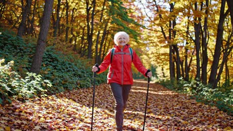 senior woman hiking in autumn forest