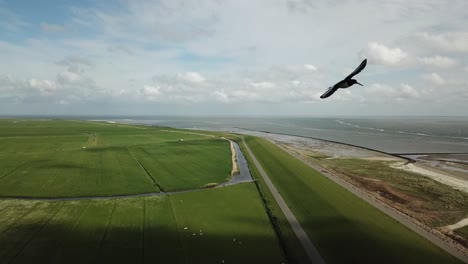 un incroyable drone des digues sur l'île d'ameland avec des oiseaux qui volent