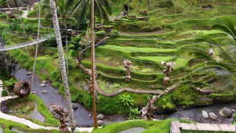 terraces of alas harum park with its photo spots and goddess of rice statues in ubud bali