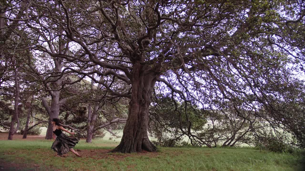 현대를 수행하는 검은 앙상블의 댄서