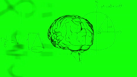 animation of mathematical equations and diagrams over human digital brain against green background