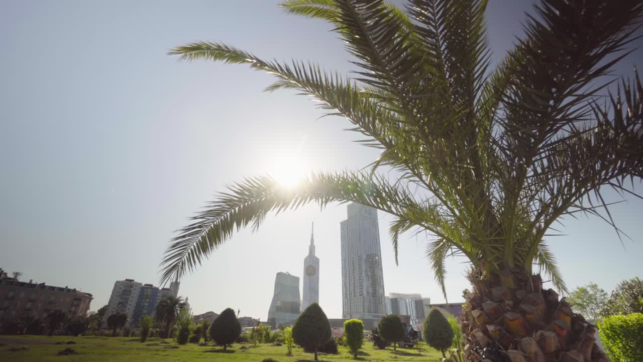 Sun peeks through leaves of palm tree on street of city of Batumi in Georgia.