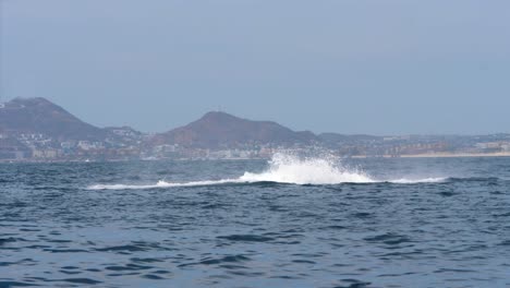 Buckelwal,-Der-Die-Küste-Draußen-Im-Meer-Durchbricht