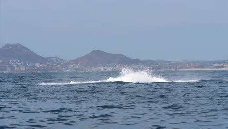 humpback whale breaching of the coast out in the sea