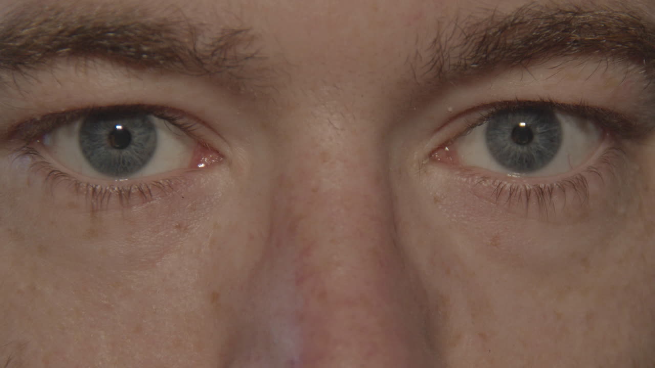 파란 눈을 열고 카메라를 바라보는 한 쌍의 클로즈업