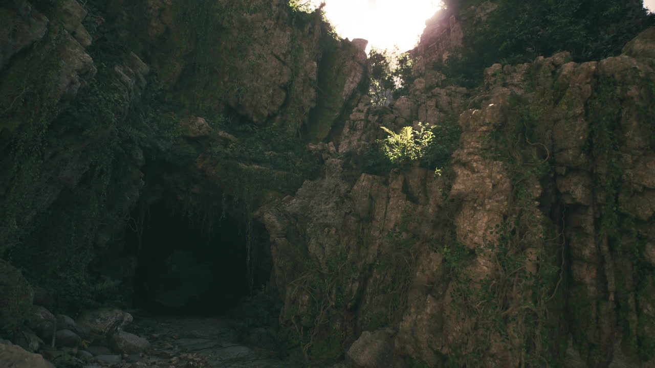 una entrada a una cueva oscura en un entorno de bosque exuberante