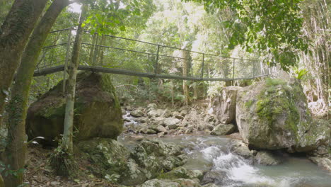 suspension bridge over fast flowing baxter creek