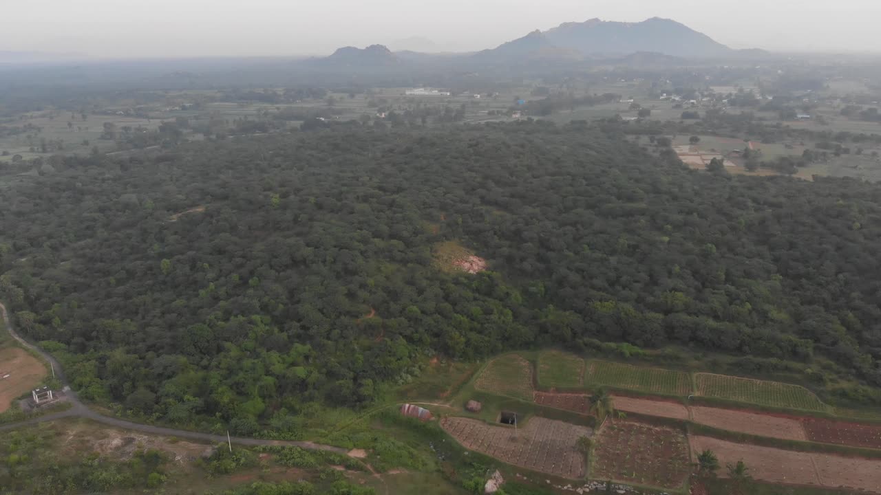인도, 녹지, 산의 놀라운 풍경으로 둘러싸인 숲