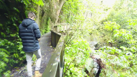 Tracking-shot-of-a-man-walking-down-wooden-walkway-in-Green-Forest