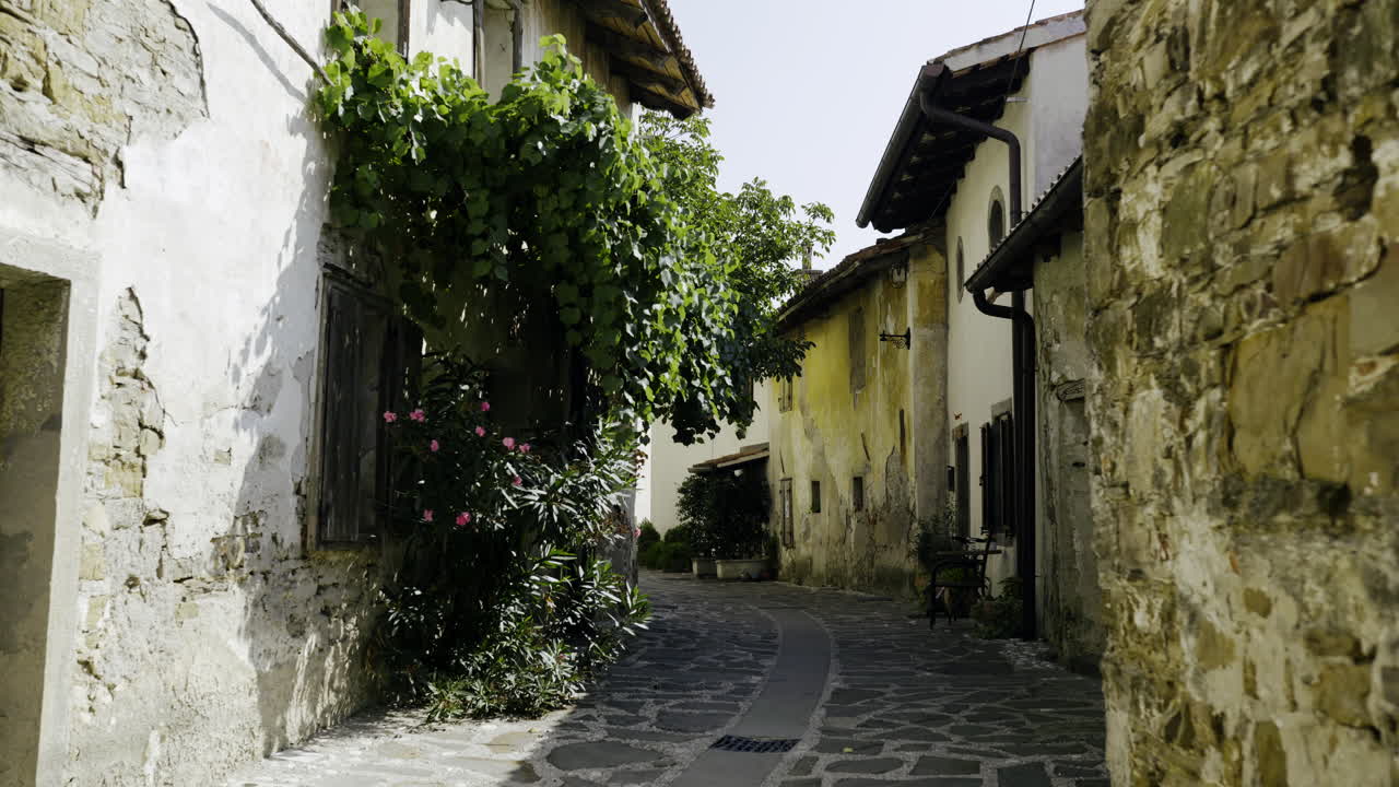 Charming European Village Alley