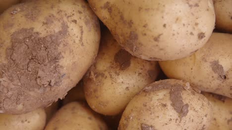 pile of dirty potatoes