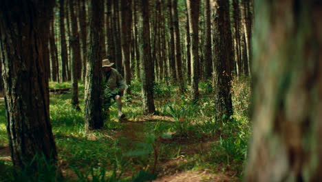 man hiking through pine forest