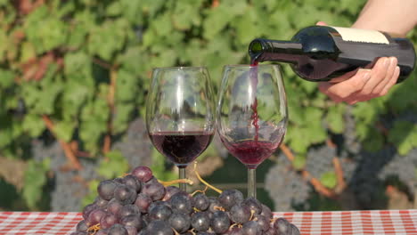 Woman's-hand-pouring-red-wine-in-glass-at-slow-motion-in-vineyards