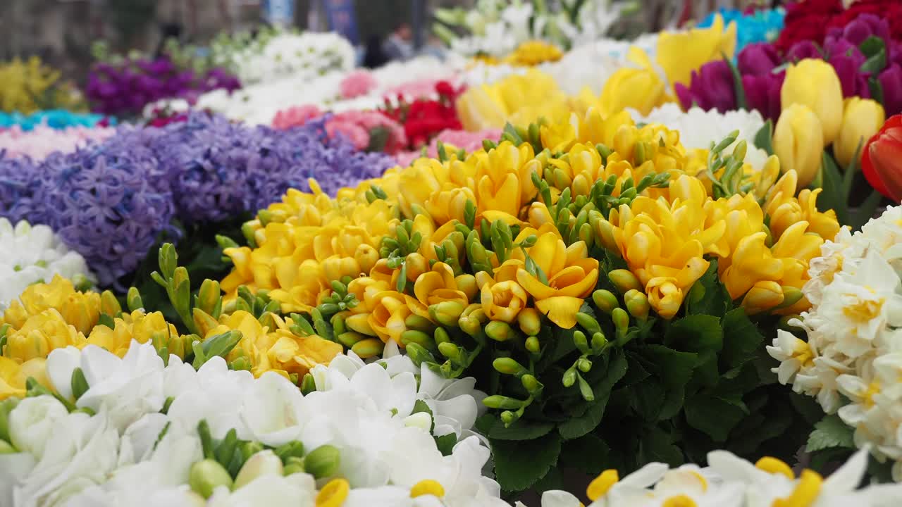 봄 꽃의 다채로운 꽃줄기