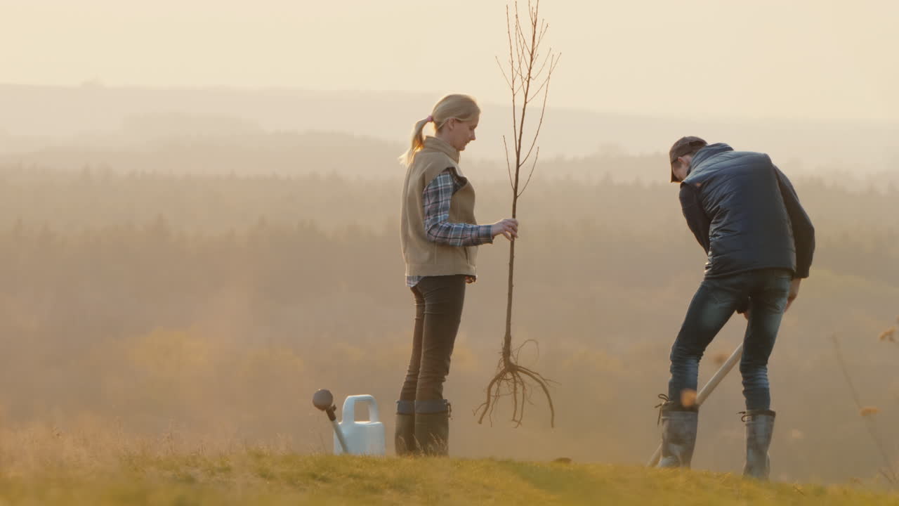 A Woman And A Man Plant A Tree Seedling