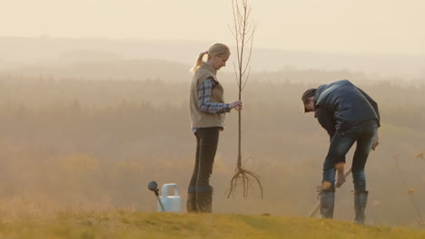 a woman and a man plant a tree seedling