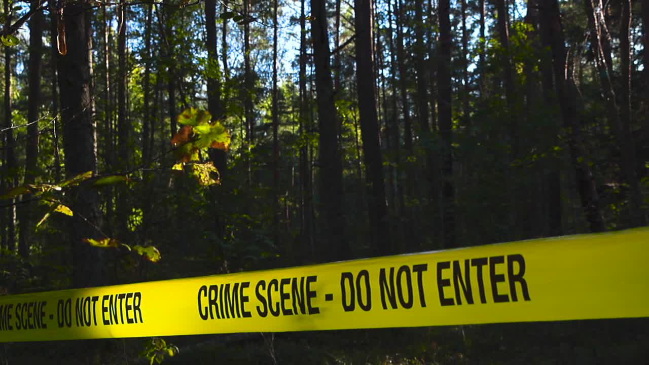 Forensic yellow police crime scene tape in front of a thick and dense forest area during a sunny summer day with sunshine baclighting the ribbon. Green leaves and branches in the foreground