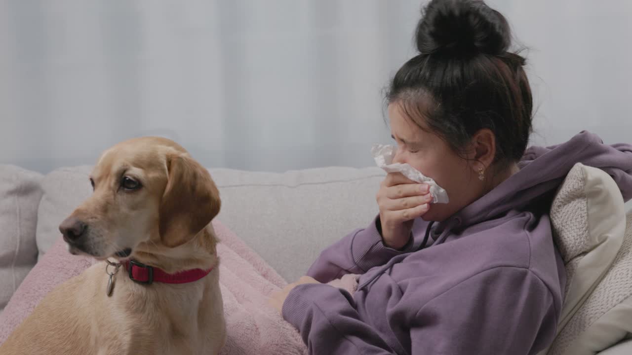 작은 개와 함께 소파에 앉아있는 젊은 여성, 기침, 재채기, 물, 계절성 독감 또는 감기에 시달리고 있습니다. 아픈 소녀는 집에서 독감으로 건강하지 않습니다.