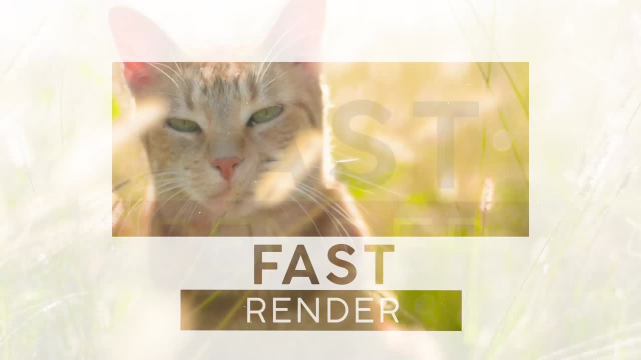 Cityscape Sunset and Autumn Leaves Video