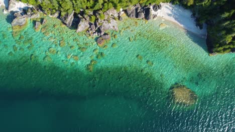 Magisch-Klares-Seewasser-Und-Grüner-Wald,-Luftaufnahme-Von-Oben-Nach-Unten