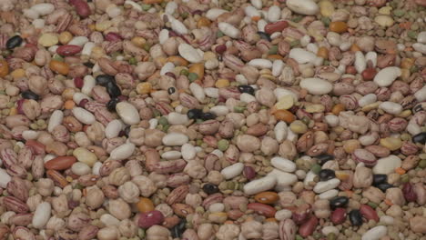 dry legumes various mixed beans falling