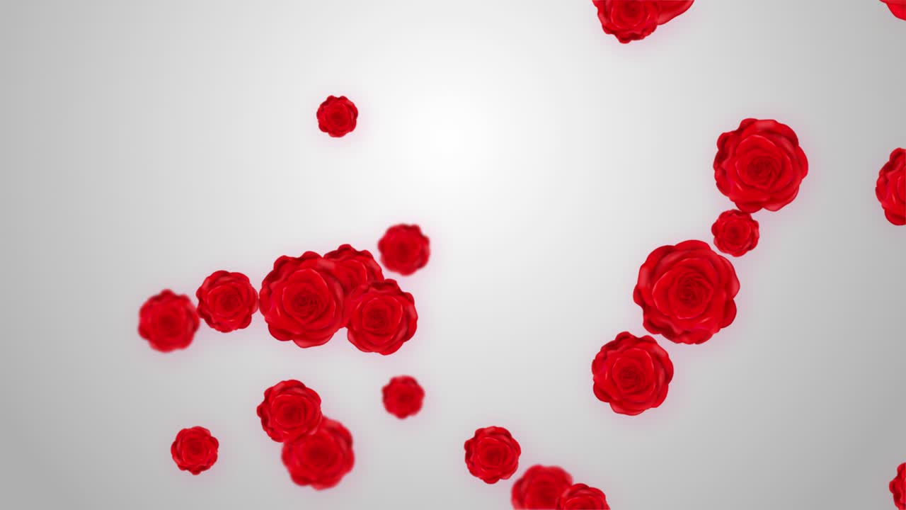 Falling red roses coastal scenery elegant background animation this romantic floral motion backdrop