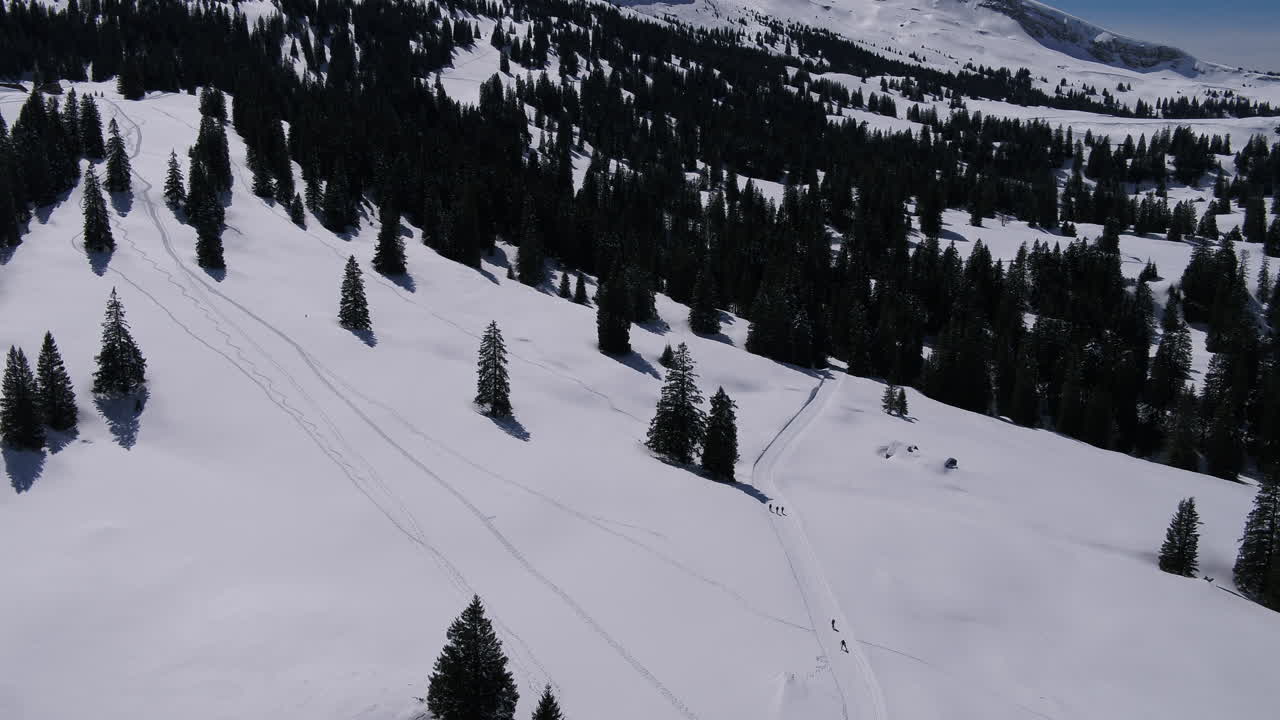 Sorvolando gli alberi si ha una splendida vista sulla neve. Si vedono persone che praticano sport invernali
