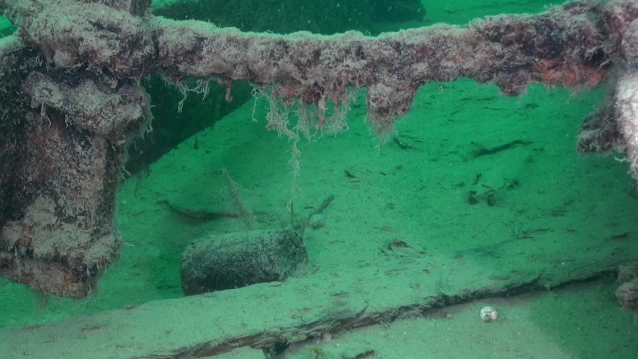 goldrush paddlwheel aj goddard에 나무 망치