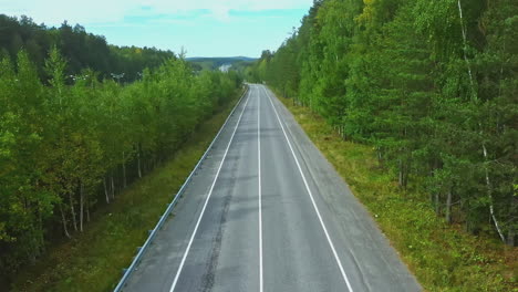 forest road scenic view