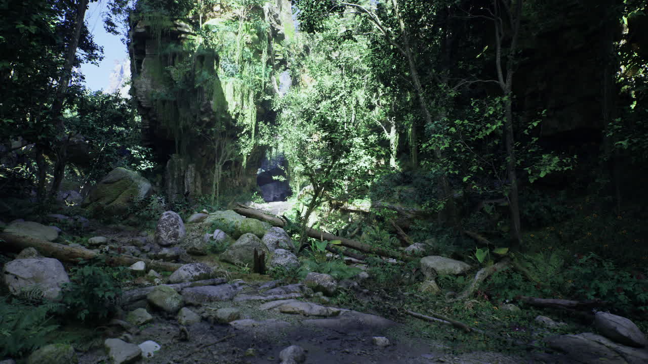Sunlight breaks through dense canopy in a vibrant tropical forest