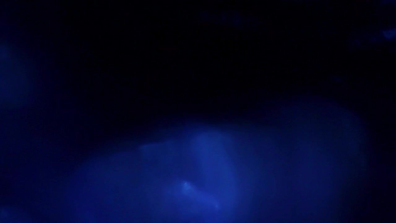 Effetto di Transizione Astratto con Perdite di Luce Blu e Bianche