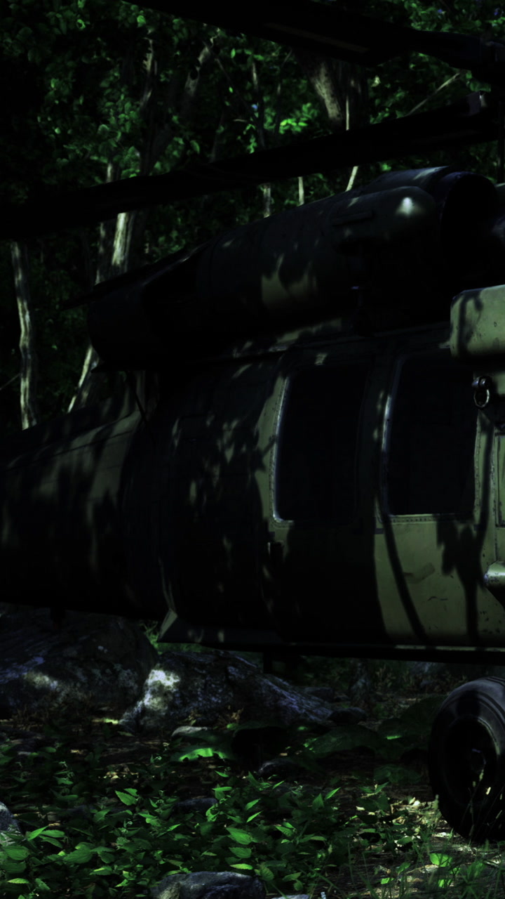 Helicopter on the ground surrounded by dense trees in the forest