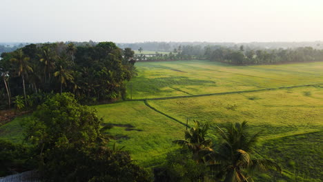 Aerial-View-Of-Green-Farm-Fields-In-Rural-Village-In-India