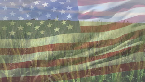 digital composition of waving american flag against close up of crops in farm field